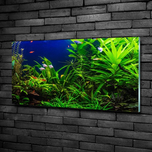 Glas bild wandbilder druck - druck, auf