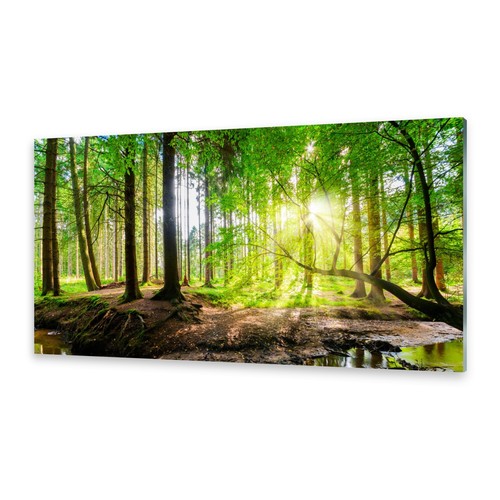 Acrylglasbilder wandbild aus - wandbild,